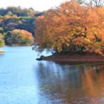 伊東市「一碧湖」紅葉が映える秋の湖畔風景