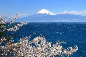 沼津市「大瀬」荒れる駿河湾に浮かぶ富士