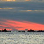 四季の風景「真鶴半島」水平線を染める朝焼け