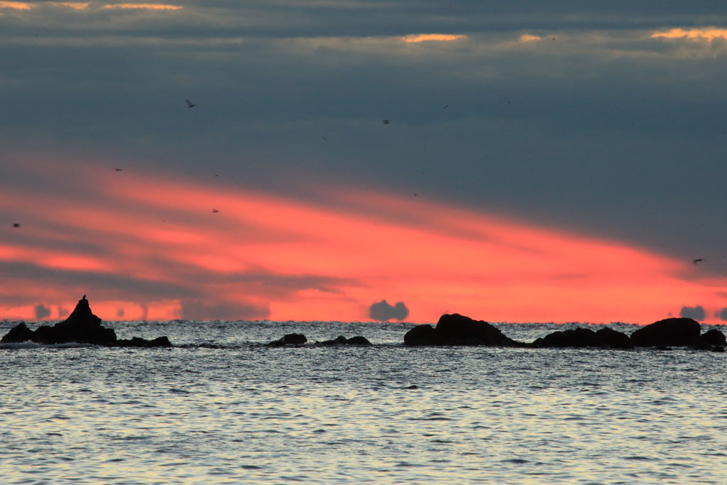 神奈川県真鶴岬「三ッ石の日の出」朝焼けの風景