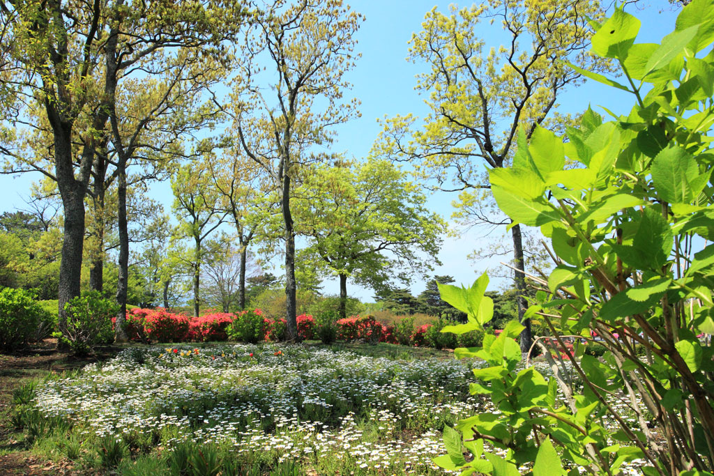 伊東市「小室山」公園の光景