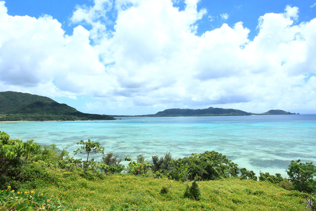 石垣島「米原海岸」花畑とエメラルドグリーンの海