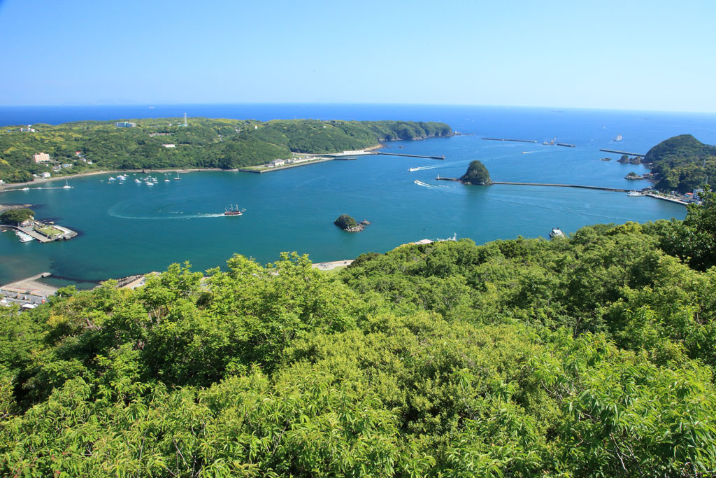 寝姿山山頂からの下田湾