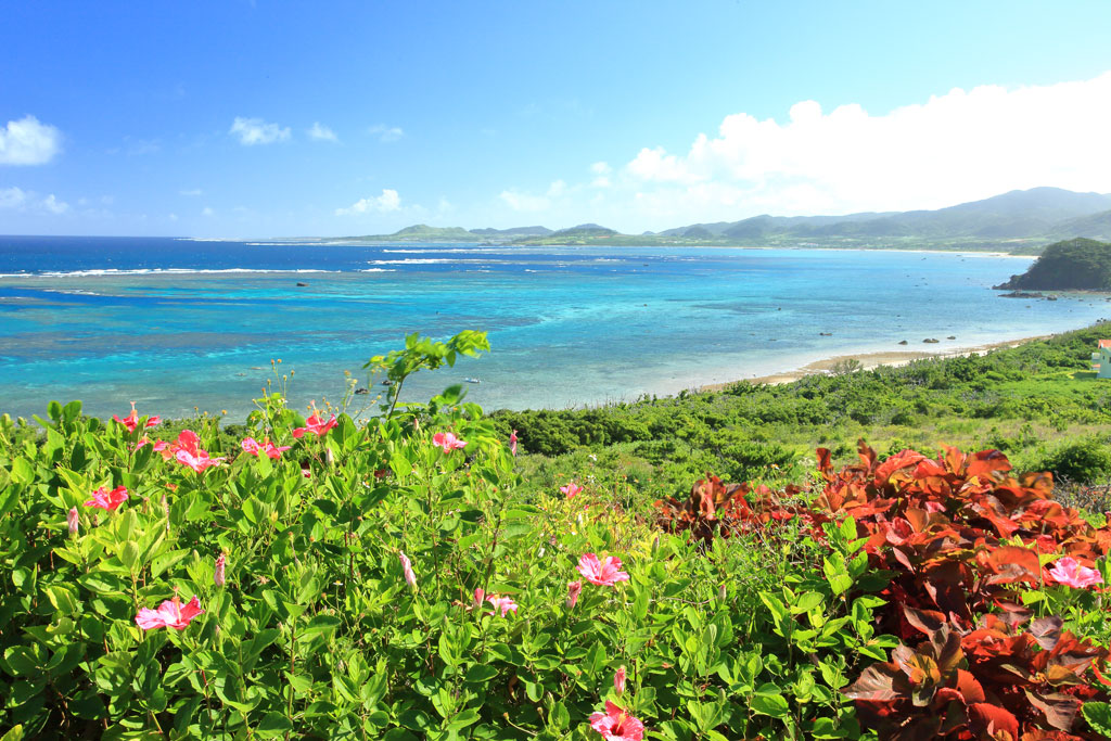 石垣島「玉取埼展望台」ハイビスカスと輝くサンゴ礁