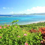 石垣島「玉取埼展望台」広大なサンゴ礁の景観