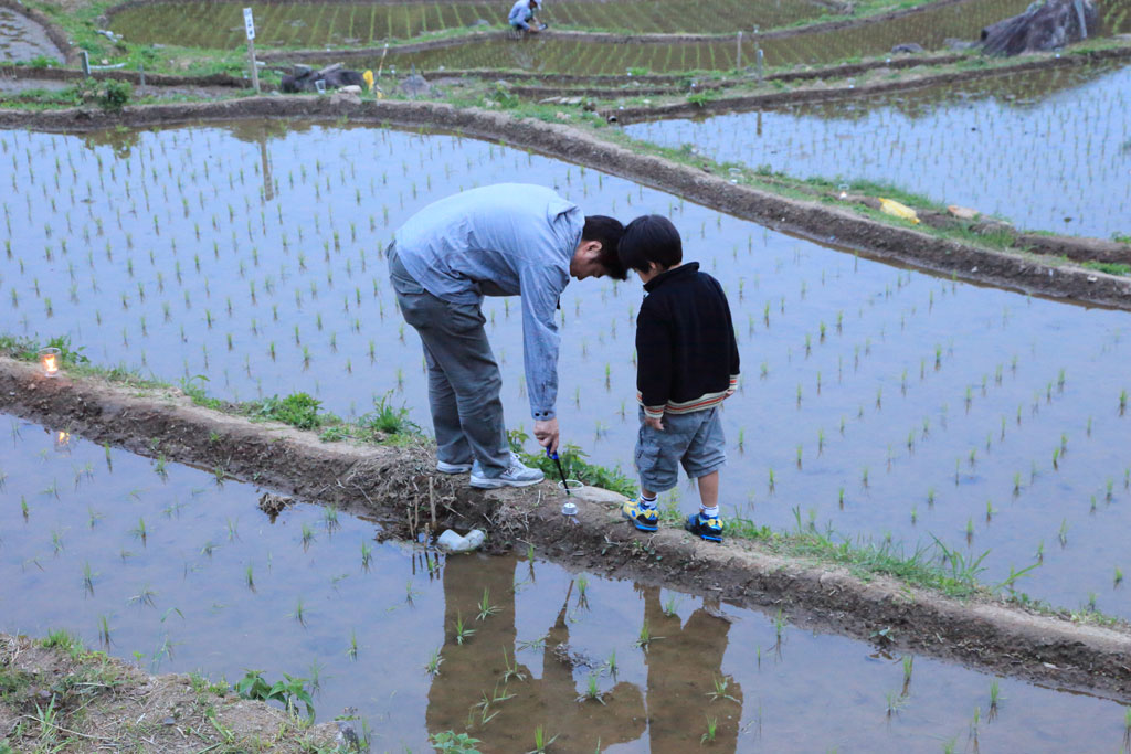 伊豆松崎町「石部の棚田」ライトアップ前の親子で点灯
