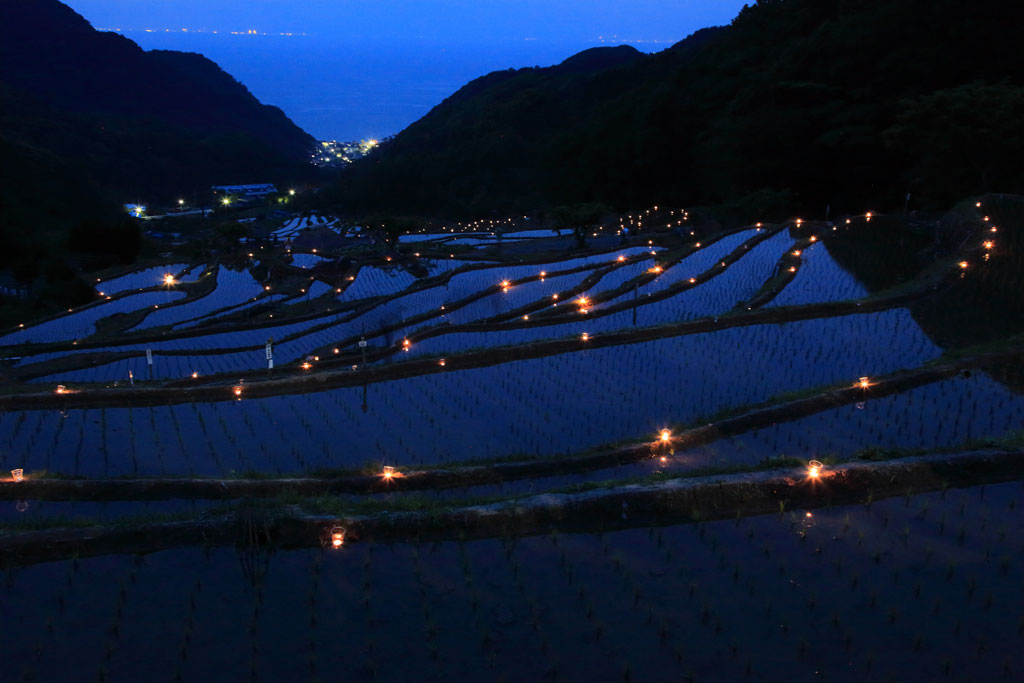 伊豆松崎町「石部の棚田」日没後の幻想的な棚田の灯り