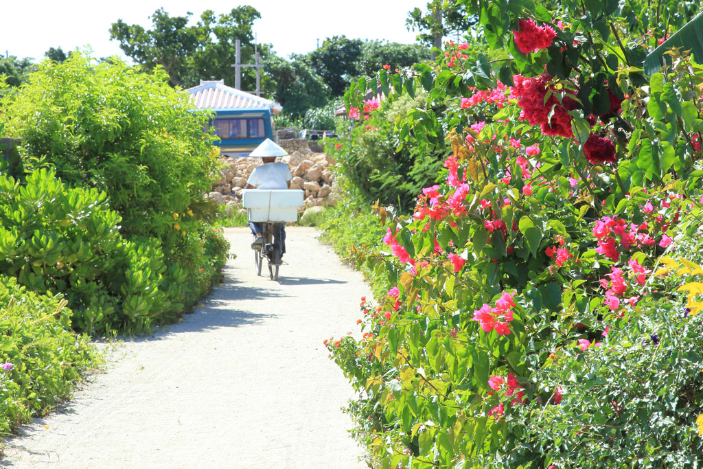 八重山諸島「竹富島」白いサンゴ砂の小道