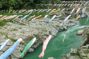 四国周遊「大歩危峡」鯉のぼりのアーチが続く大歩危峡