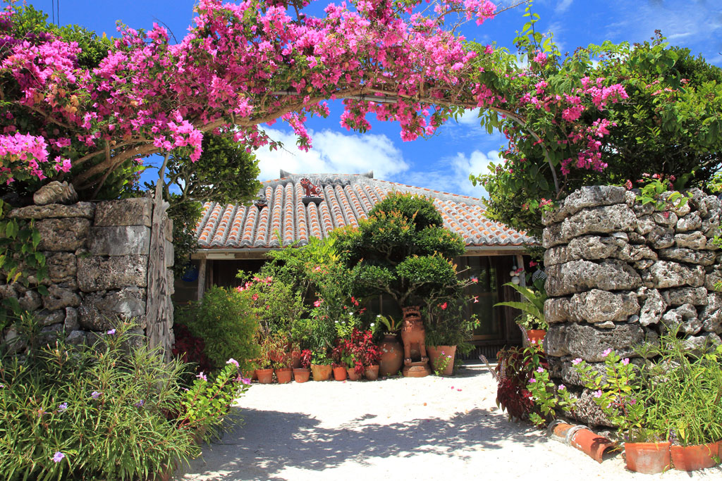 八重山諸島「竹富島」ブーゲンビリアの門構え