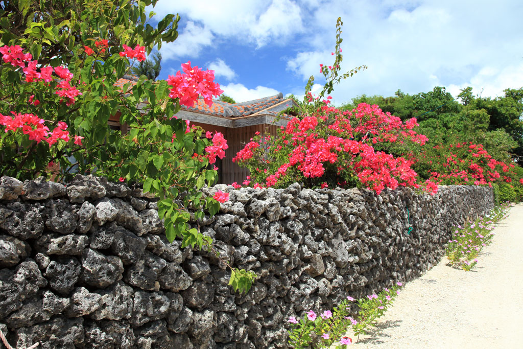 八重山諸島「竹富島」ブーゲンビリア咲くサンゴ砂の小道