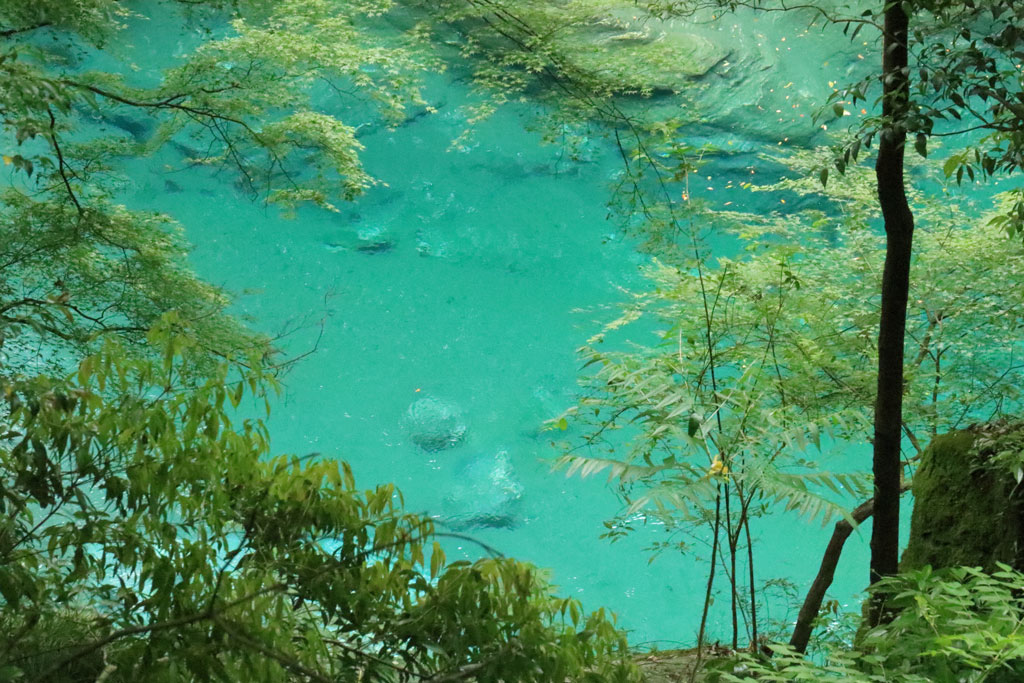 四国周遊「祖谷のかずら橋」ブルーび映える川面の光景