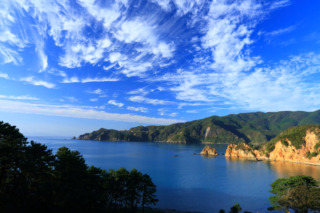 西伊豆「黄金崎(こがねさき)」コレクションガーデンより