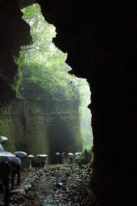 四国周遊「伊尾木道」洞窟内からの景観