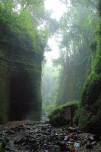 四国周遊「伊尾木道」霧に霞む洞窟出口付近