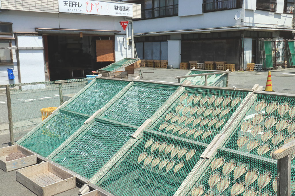 下田市「干物横丁」アジの天日干し