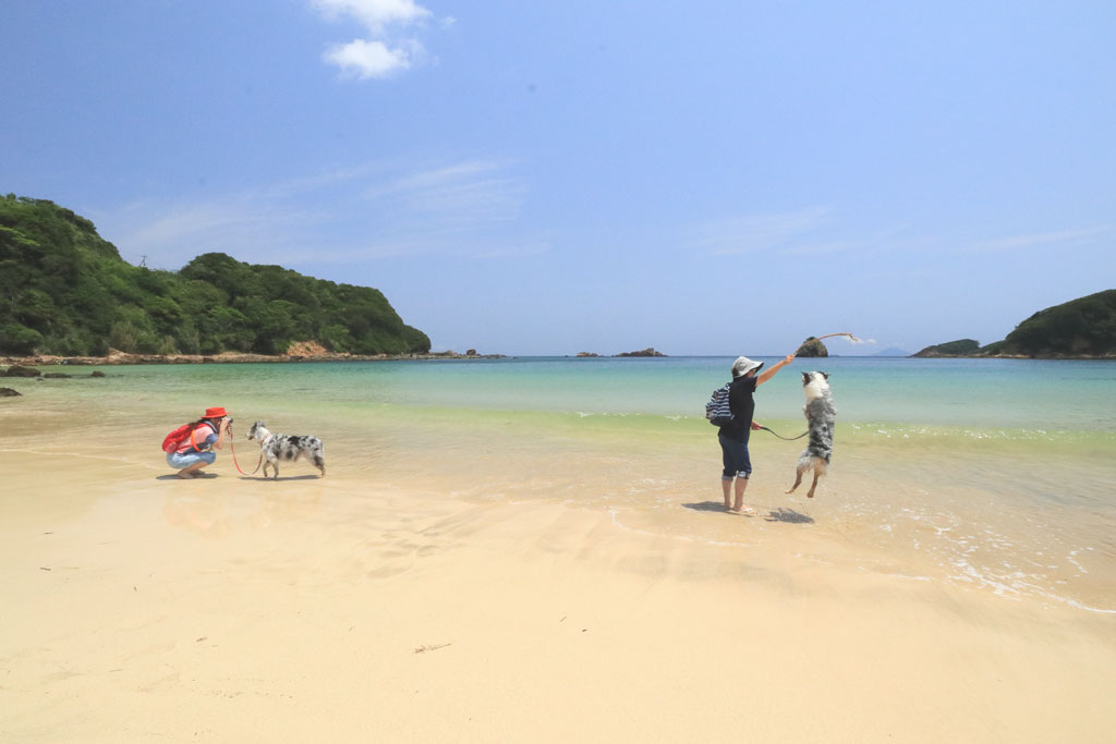 下田市「外浦海岸」波打ち際で犬と戯れる