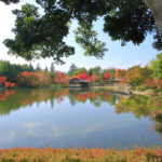 「昭和記念公園の春秋」日本庭園の紅葉風景
