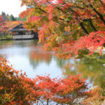 「昭和記念公園の春秋」日本庭園の紅葉風景