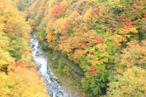 福島県「中津川渓谷」橋からの紅葉風景