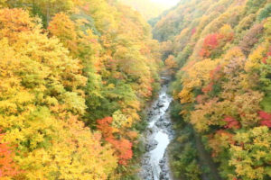 福島県「中津川渓谷」渓谷の紅葉風景