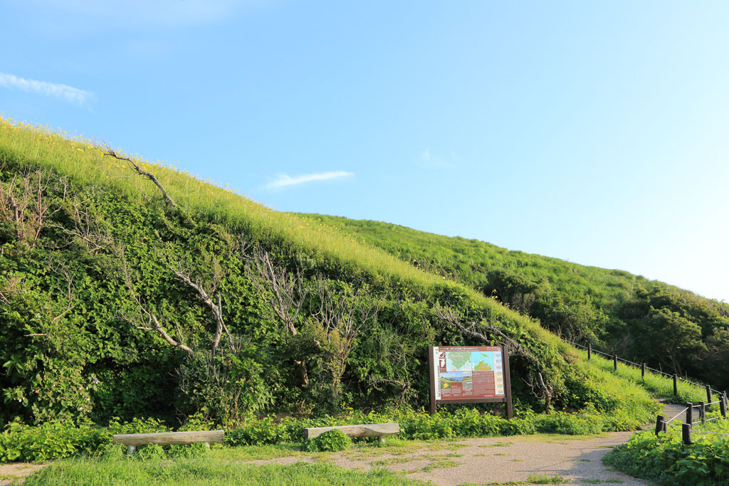 南伊豆町「あいあい岬」ユウスゲ公園登り口
