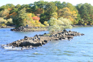 福島県「秋の桧原湖」浮き島の風景