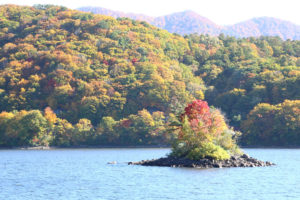 福島県「秋の桧原湖」紅葉の美しい小島