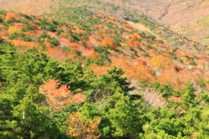 福島県「秋の薬師岳」安達太良山稜線の紅葉