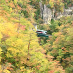 四季の風景「鳴子峡」紅葉の渓谷を走る列車