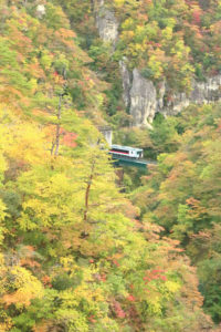 宮城県「秋の鳴子峡」紅葉風景の中の電車