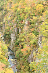 宮城県「秋の鳴子峡」紅葉風景