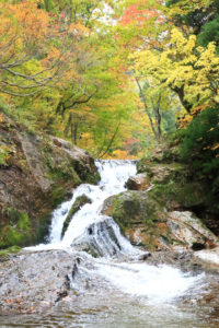 山形県「銀山温泉」紅葉の「頼音の滝滝」