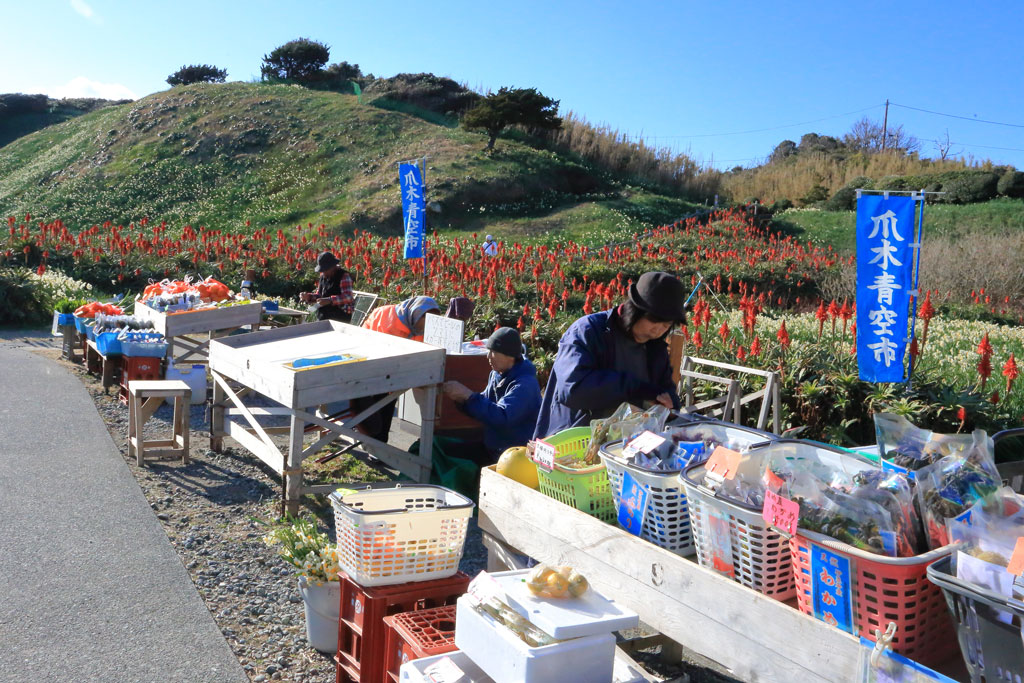下田市「爪木崎」海の産物展示が多い水仙公園の出店