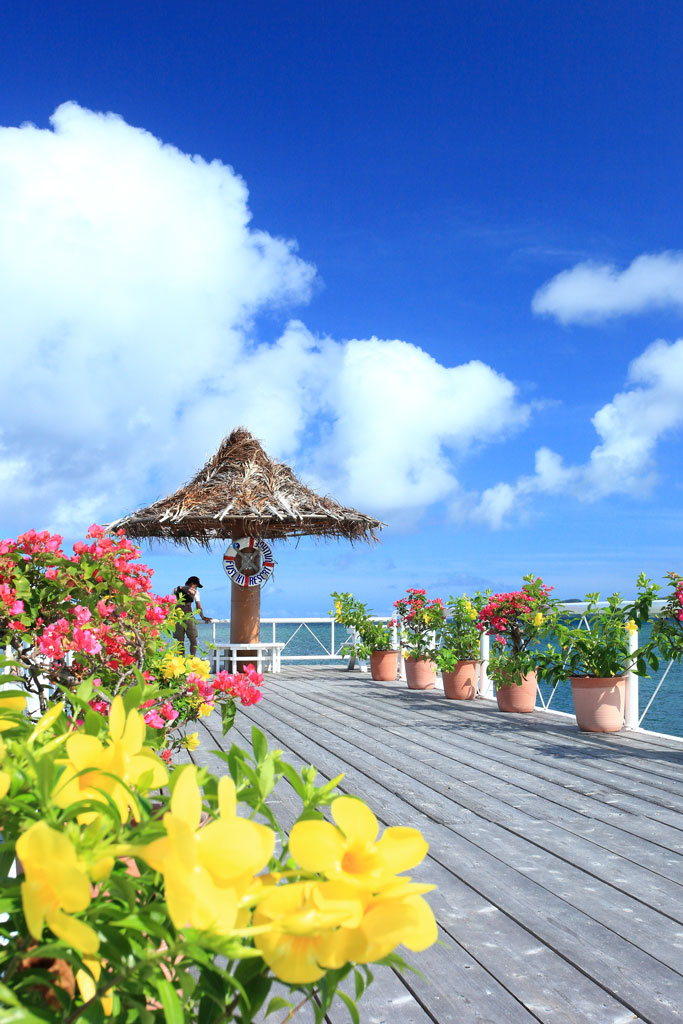 石垣島「フサキビーチ」花で飾られたビーチ桟橋