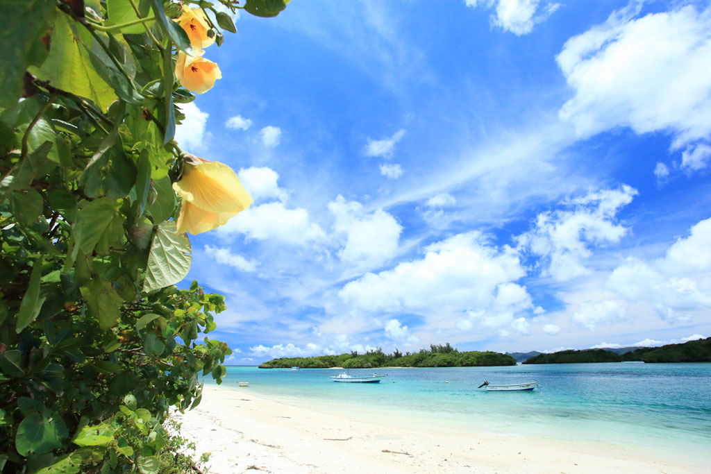 八重山諸島石垣島「川平湾」夏の川平湾