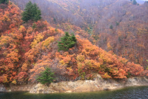 新潟県「奥只見湖」湖畔の紅葉
