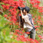 神奈川県「日向薬師」彼岸花風景を撮る写ガール