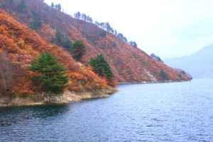 新潟県「奥只見湖」湖畔稜線の紅葉