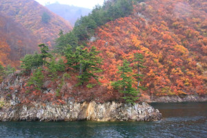 新潟県「奥只見湖」湖畔の紅葉
