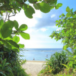 石垣島「米原ビーチ」ビーチ小径からの海岸風景