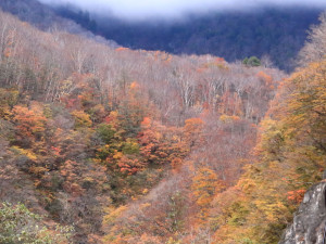 新潟県「田代ロープウェイ」稜線の紅葉