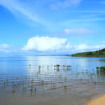 石垣島「名蔵湾」マングローブ林の名蔵湾風景