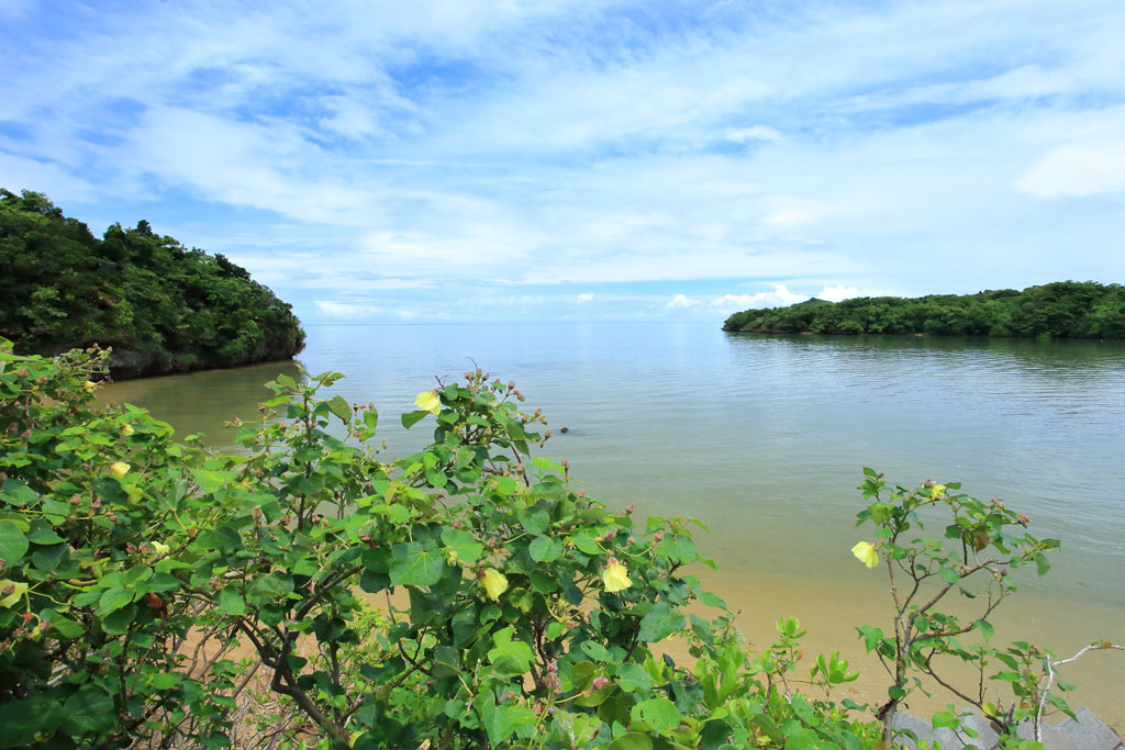 石垣島「吹通川」河口の風景