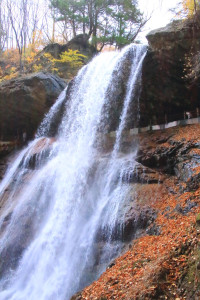 秋川渓谷「裏見の滝」雷滝滝つぼから上部を望む