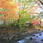 「修善寺」桂川の紅葉風景
