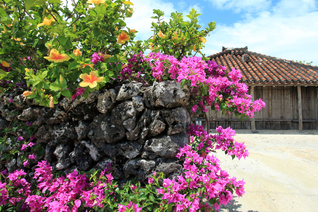 八重山諸島「竹富島」ブーゲンビリアに彩られた民家