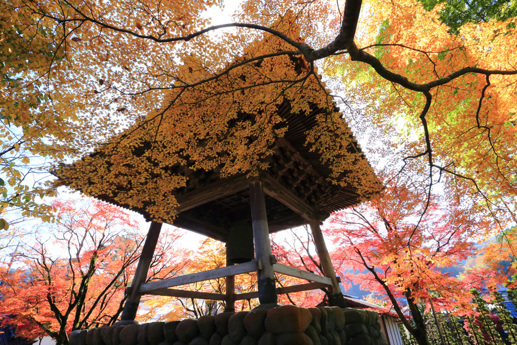 修善寺「修禅寺」紅葉の鐘楼堂