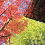 「修善寺」修禅寺の紅葉風景