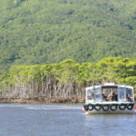 西表島「仲間川」マングローブを航行する観光船
